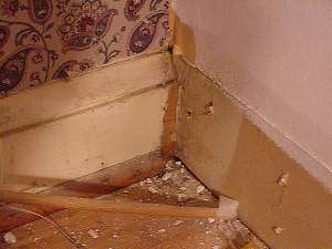 Clear existing molding