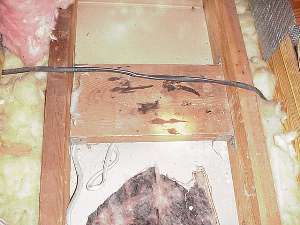 View from attic of reinforcement board used to secure junction box