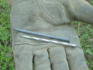 Common and spiral nails