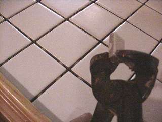 Tile snip to trim outer edge